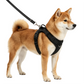 🔥50% OFF 🐶 Easy On-Off Padded Dog Harness for Walking