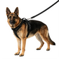 🔥50% OFF 🐶 Easy On-Off Padded Dog Harness for Walking
