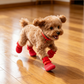 🚨Limited Time 50% Off Waterproof Breathable Non-Slip Secure Fit Dog Shoes