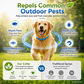 🔥⏰LIMITED TIME 50% OFF!🔥50K+ SOLD! Natural Essential Oil Pet Pest Repellent Collar🐶