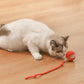 🎁New Hot Sales - 50% OFF🐶Smart Automatic Rolling Pet Ball