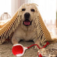 🎁New Hot Sales - 50% OFF🐶Smart Automatic Rolling Pet Ball