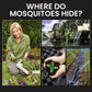✨Garden Must‑Have🔥50% OFF ☀️ Solar Mosquito Zapper Lamp Stake