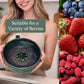 📢Buy 2 Get 1 Free🔥50% OFF🚚Berry Swirl Washing & Serving Bowl