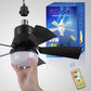 🔥Last Day Sale 65% OFF🥰 ✨2-in-1 Portable Ceiling Fan & Light 3 Speed Remote Timer