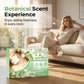 🚨Limited Time 50% Off 🧼Multi-Effect Floor Cleaner Tablets Super Concentrated Save Storage Home Cleaning Supplies