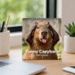 🦫 50% OFF ✨ Funny Capybara 2027 Wall Calendar – Cute Chill Capybara Vibes All Year 😆